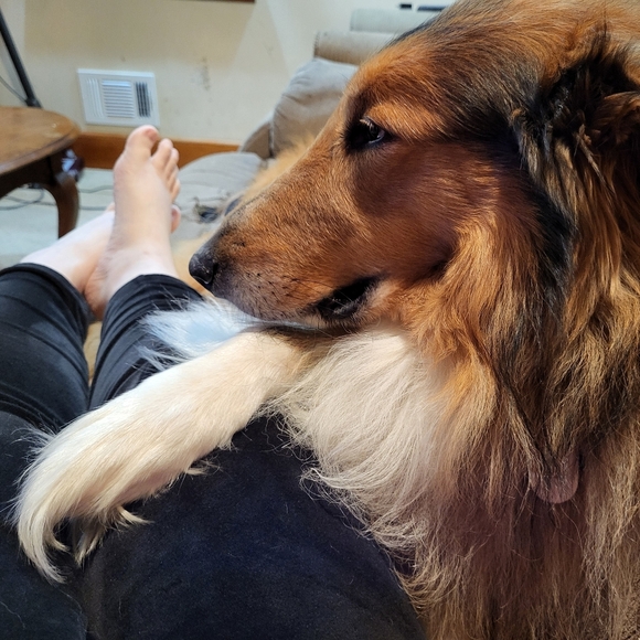 Meet the Posher Other - PLSreadBEFOREbuying!